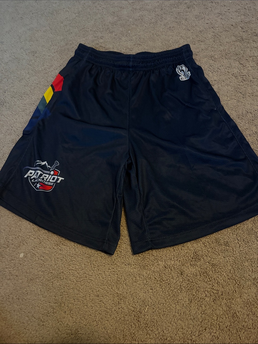 Men's Navy Athletic Shorts with Multicolor Side Stripes